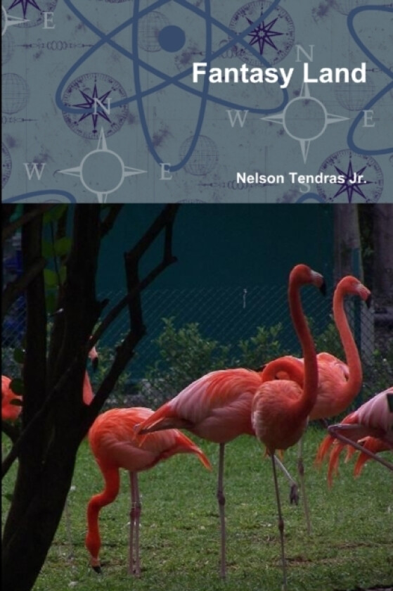 Fantasy Land av Nelson Tendras Jr. (Paperback)