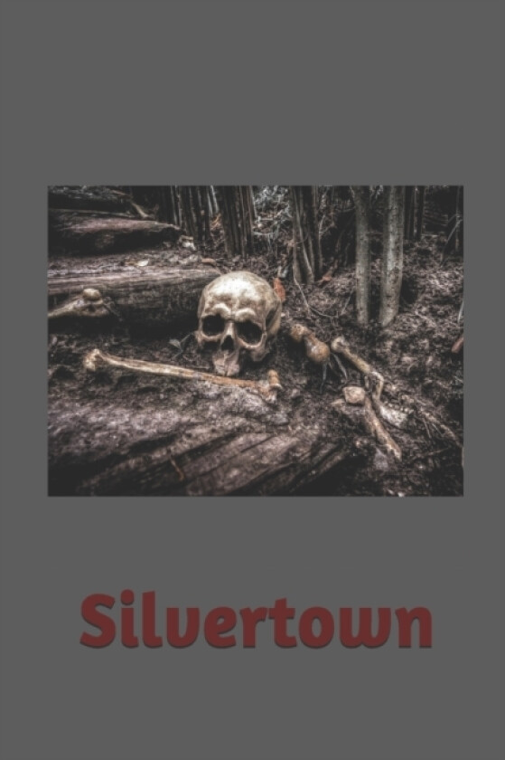 Silvertown av Darkworld669 Lostsoul627, M P (Paperback)