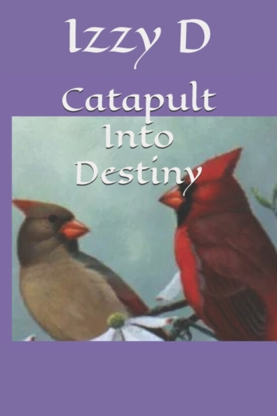 Catapult Into Destiny av Izzy D (Paperback)