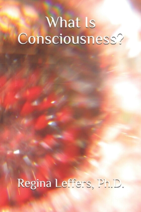 What Is Consciousness? av Regina PH D Leffers (Paperback)