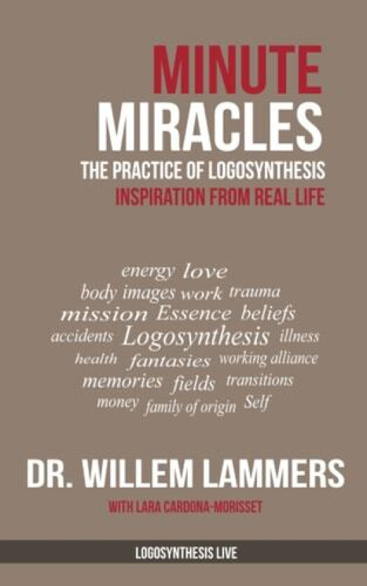 Minute Miracles av Willem Lammers (Paperback)