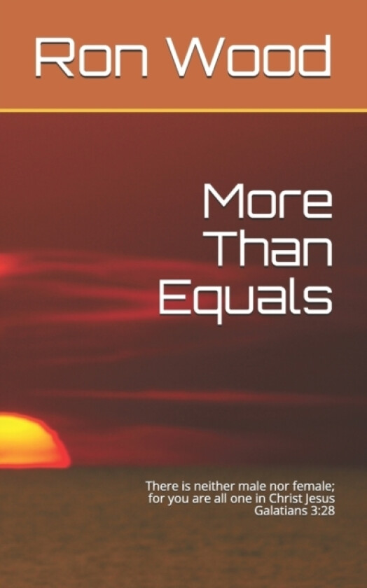 More Than Equals av Ron Wood (Paperback)