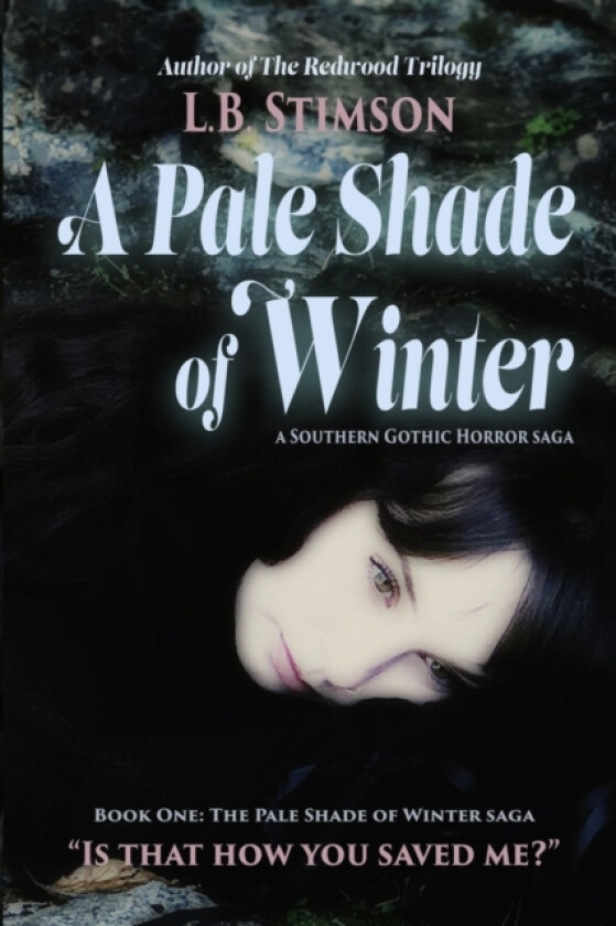 A Pale Shade of Winter av L B Stimson (Paperback)
