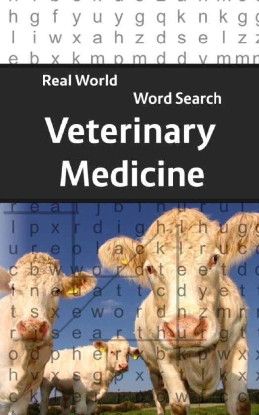 Real World Word Search av Arthur Kundell (Paperback)