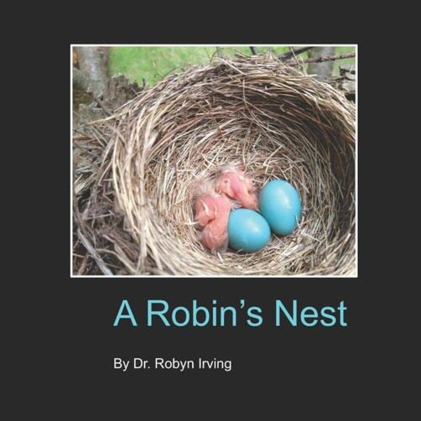 A Robin's Nest av Robyn Irving (Paperback)