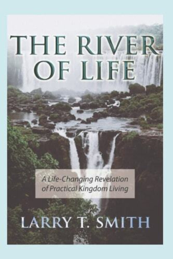 The River of Life av Larry T Smith (Paperback)