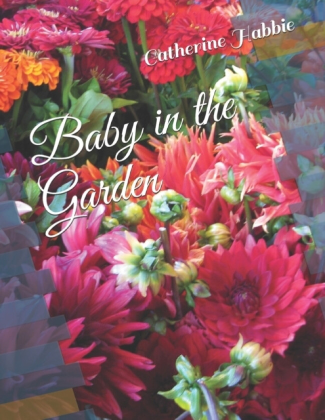 Baby in the Garden av Catherine Habbie (Paperback)