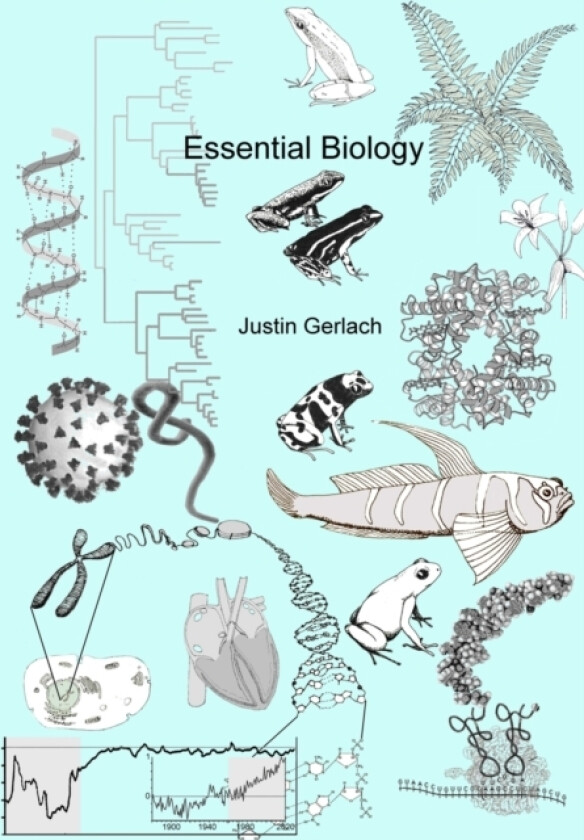 Essential Biology av Justin Gerlach (Paperback)