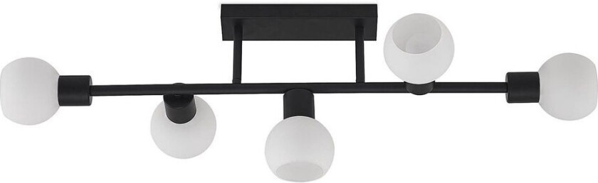 Biscala taklampe 5 lysk svart/opal