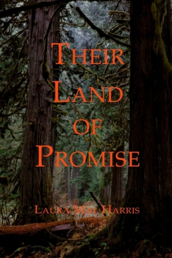 Their Land of Promise av Laura May Harris (Paperback)
