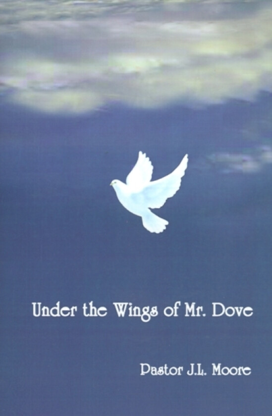 Under the Wings of Mr. Dove av J.L. Moore (Paperback)