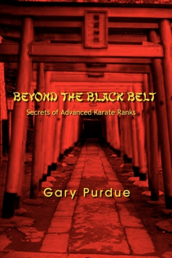 Beyond the Black Belt av Gary Purdue (Paperback)