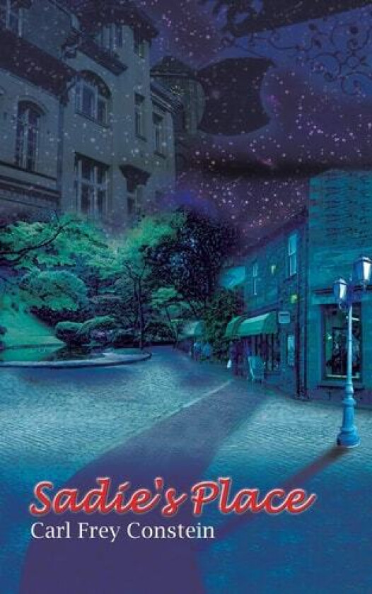 Sadie's Place av Carl Frey Constein (Paperback)