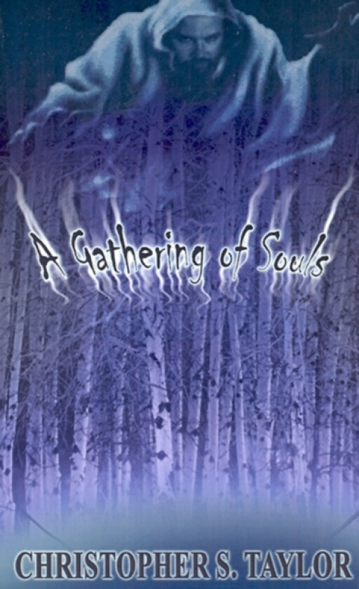 A Gathering of Souls av Christopher S. Taylor (Paperback)