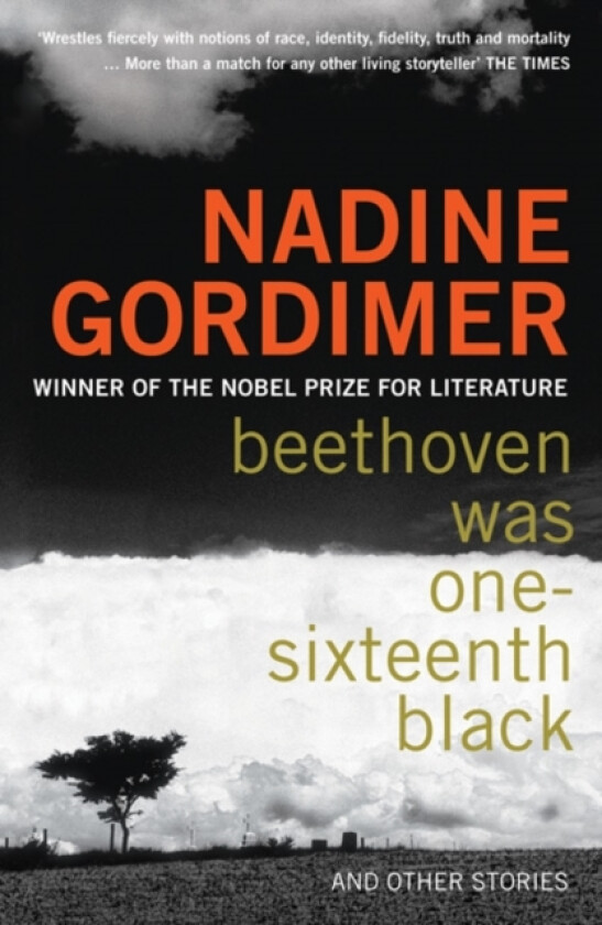 Beethoven Was One-sixteenth Black av Nadine Gordimer (Paperback)