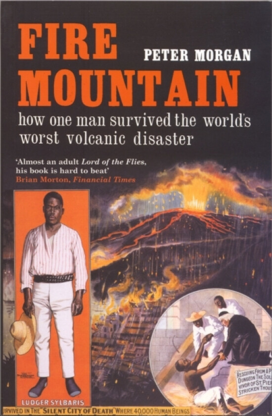 Fire Mountain av Peter Morgan (Paperback)