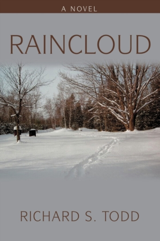 Raincloud av Richard S Todd (Paperback)