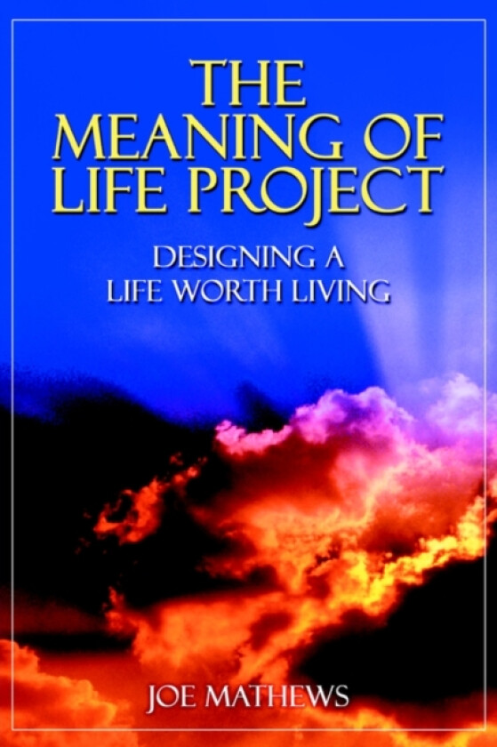 The Meaning of Life Project av Joe Mathews (Paperback)