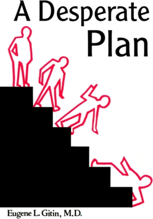 A Desperate Plan av Eugene L M D Gitin (Paperback)