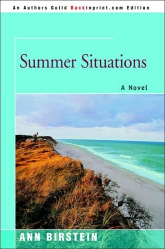 Summer Situations av Ann Birstein (Paperback)