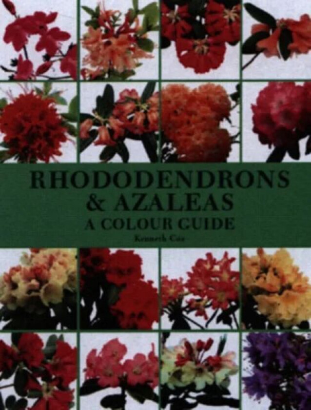 Rhododendrons and Azaleas - A Colour Guide av Kenneth Cox