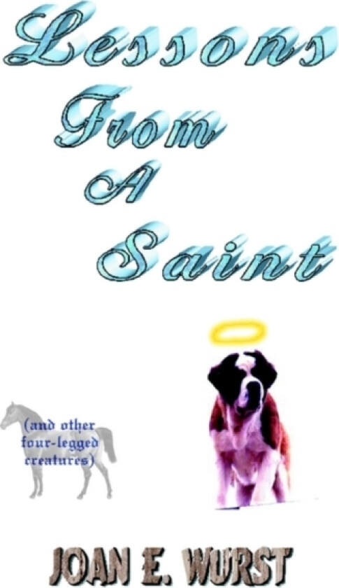 Lessons from a Saint av Joan E Wurst (Paperback)