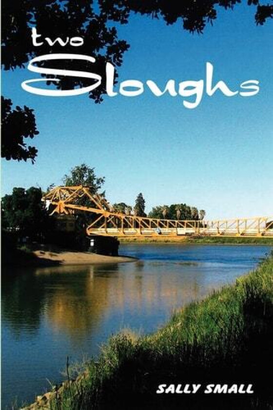 Two Sloughs av Sally Small (Paperback)