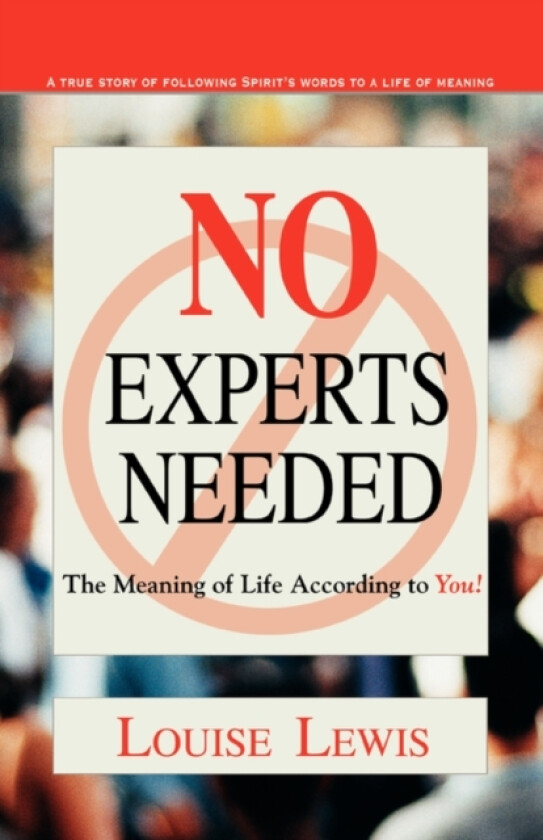 No Experts Needed av Louise Lewis (Paperback)