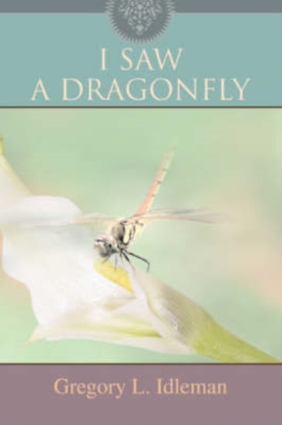 I Saw a Dragonfly av Gregory L Idleman (Paperback)