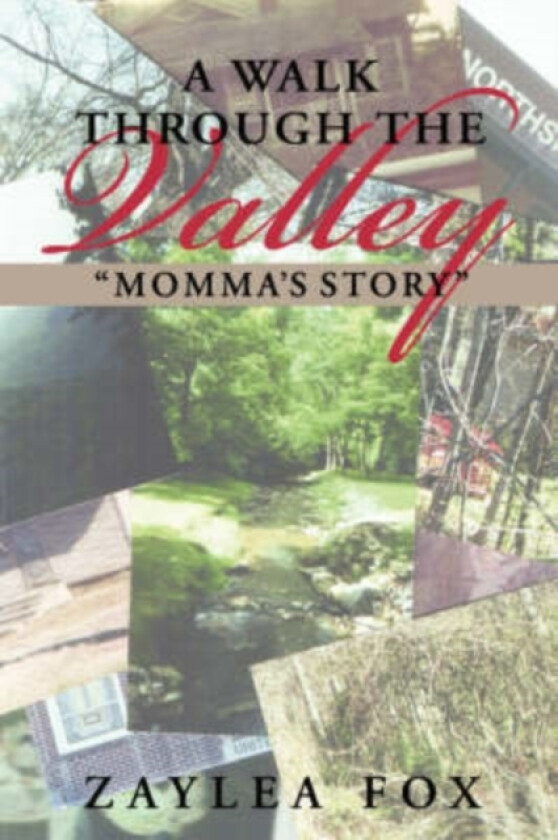 A Walk Through the Valley av Zaylea Fox (Paperback)