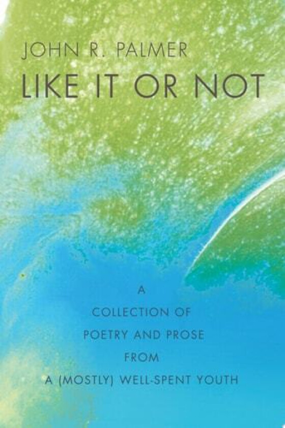 Like It or Not av John R Palmer (Paperback)