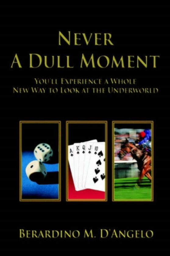 Never a Dull Moment av Berardino M D'Angelo (Paperback)