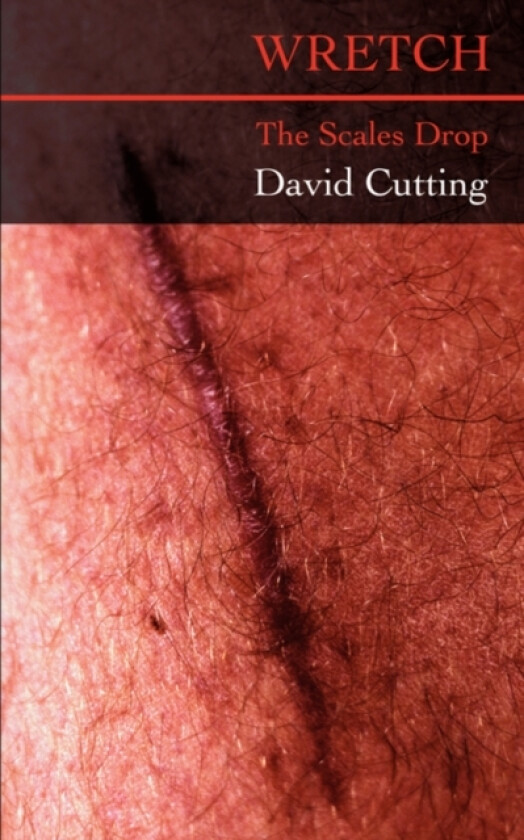Wretch av David Cutting (Paperback)