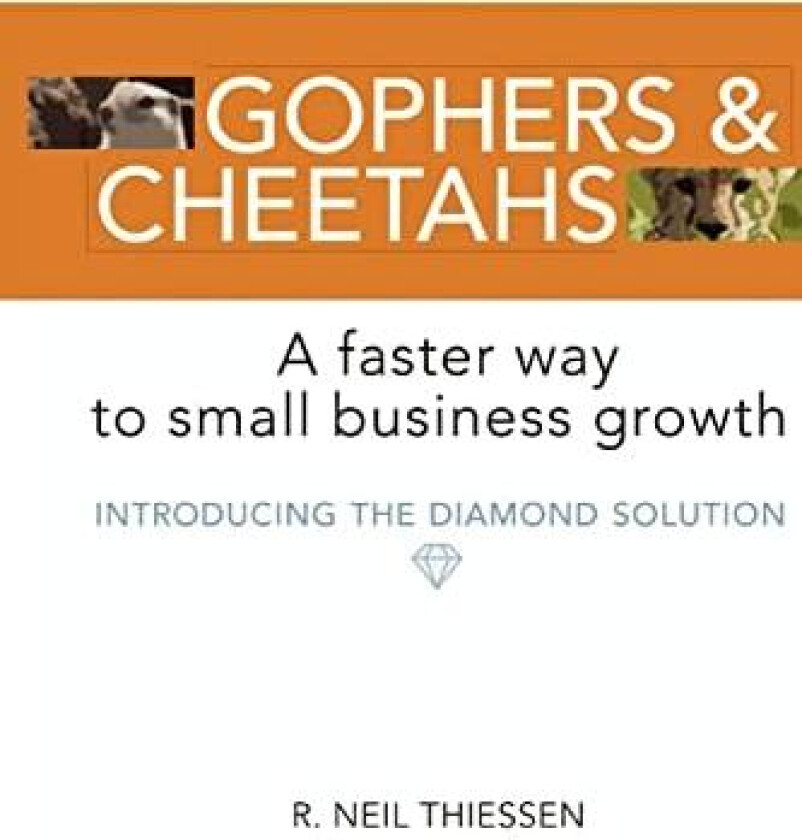Gophers and Cheetahs av R Neil Thiessen (Paperback)