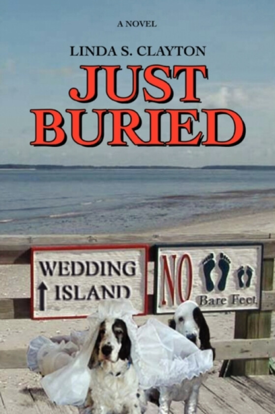 Just Buried av Linda S Clayton (Paperback)