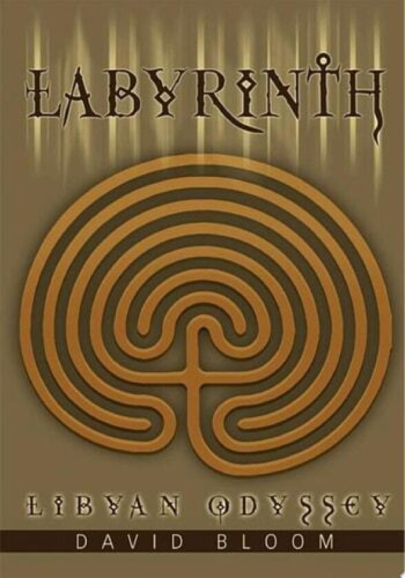 Labyrinth av David Bloom (Paperback)