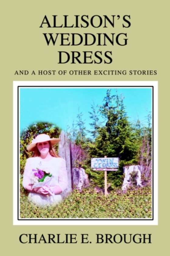 Allison's Wedding Dress av Charlie E Brough (Paperback)
