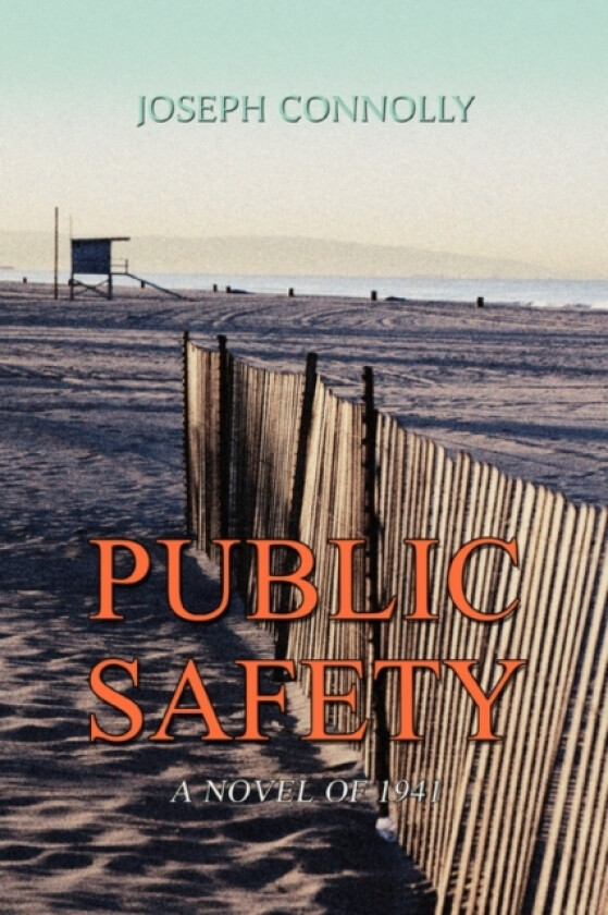 Public Safety av Joseph Connolly (Paperback)