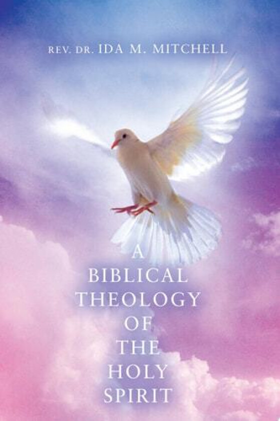 A BIBLICAL THEOLOGY OF THE HOLY SPIRIT av Ida Mitchell (Paperback)