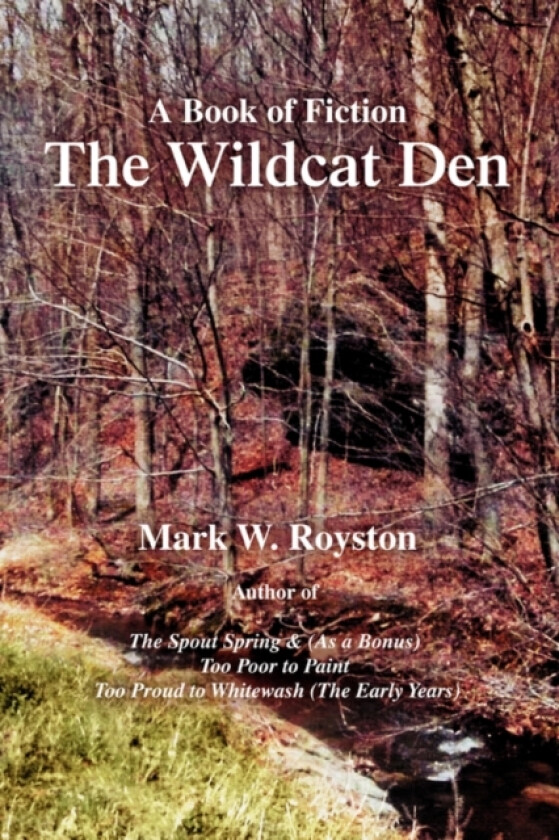 The Wildcat Den av Mark W Royston (Paperback)