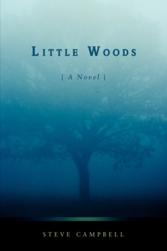 Little Woods av Steve Campbell (Paperback)