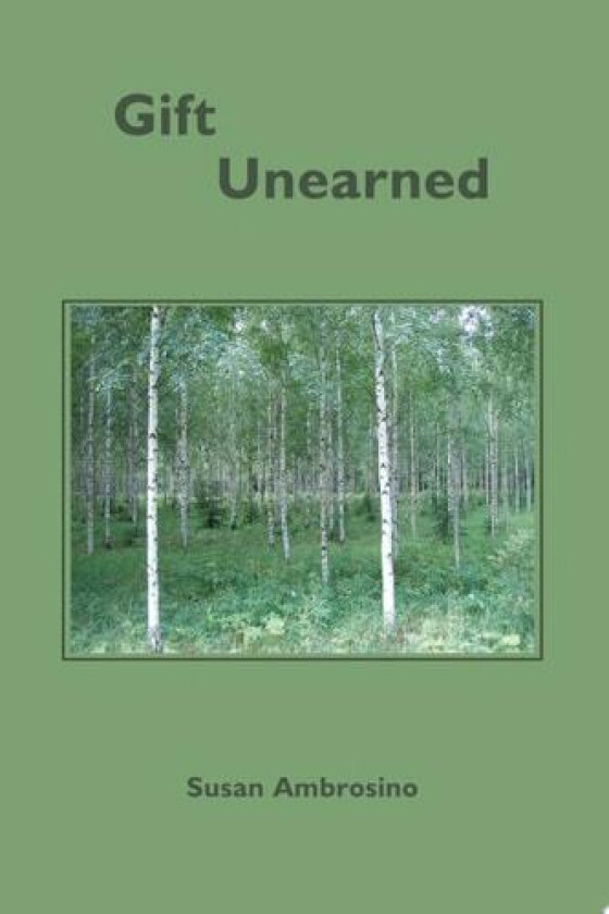 Gift Unearned av Susan Ambrosino (Paperback)