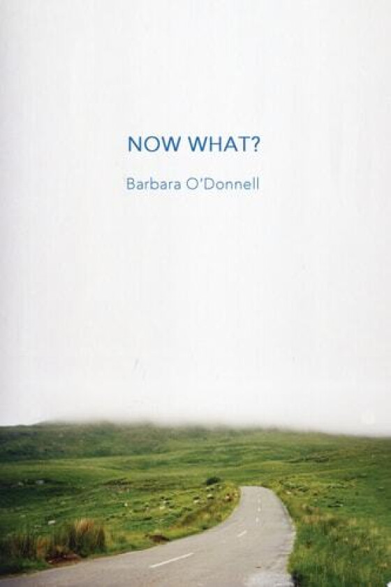 Now What? av Barbara O'Donnell (Paperback)