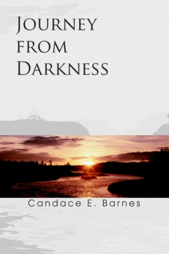 Journey from Darkness av Candace E Barnes (Paperback)
