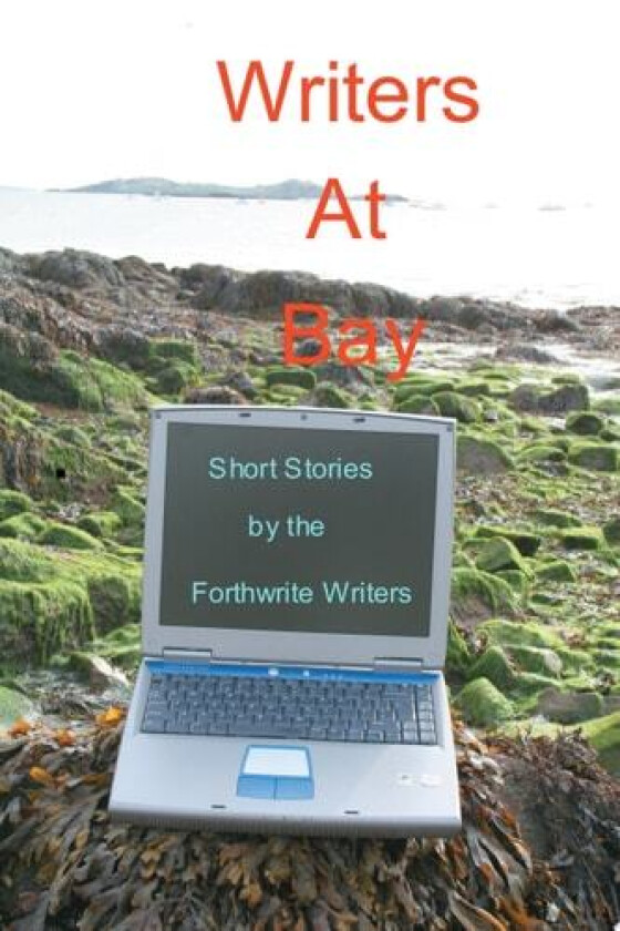 Writers at Bay av William Clinkenbeard (Paperback)