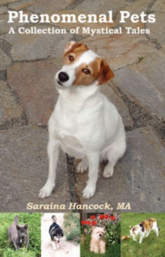 Phenomenal Pets av Saraina Hancock Ma (Paperback)
