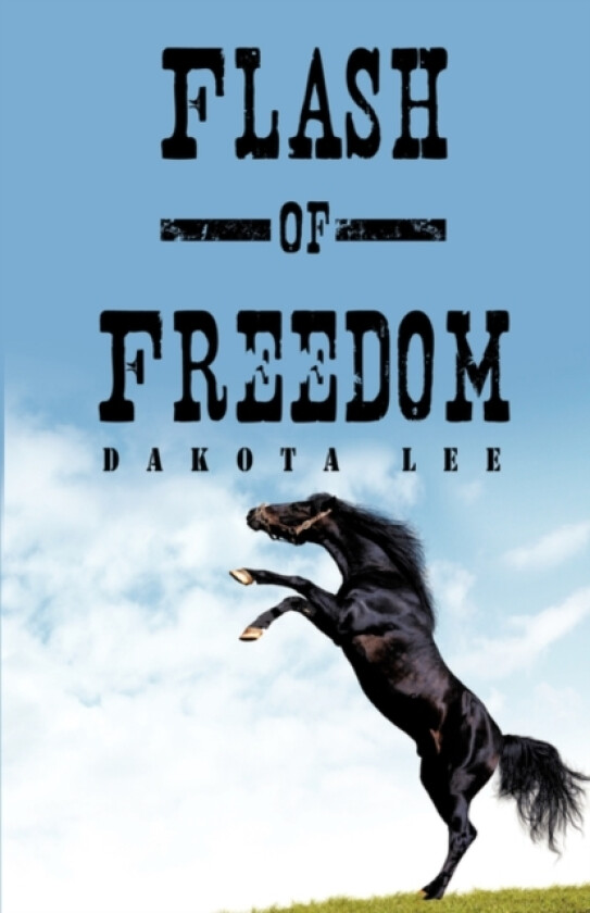 Flash of Freedom av Dakota Lee (Paperback)
