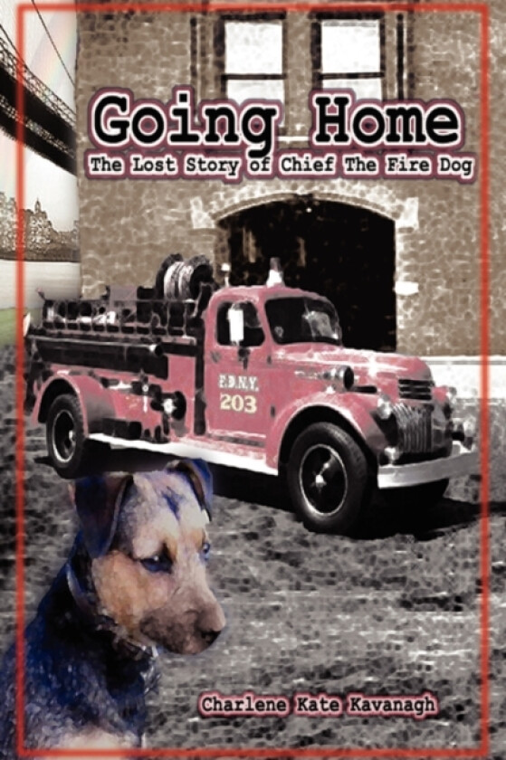 Going Home av Charlene Kate Kavanagh (Paperback)