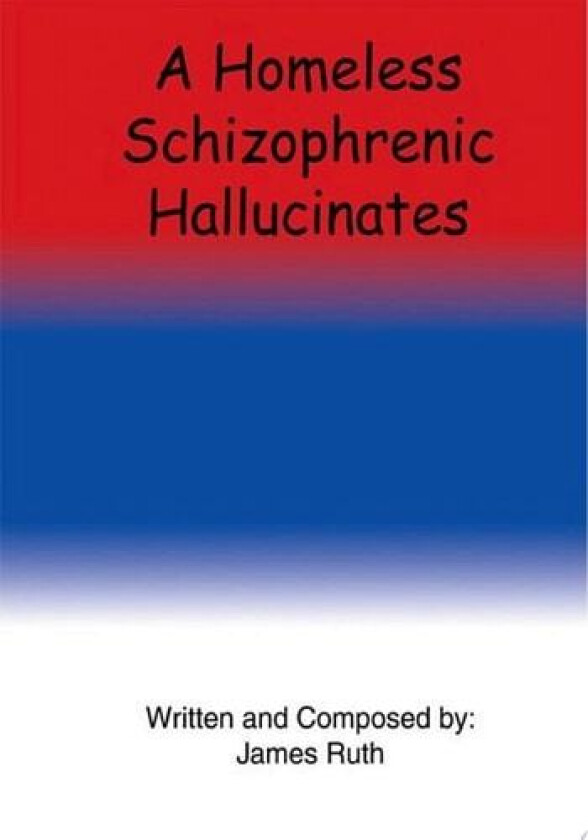 A Homeless Schizophrenic Hallucinates av James Ruth (Paperback)