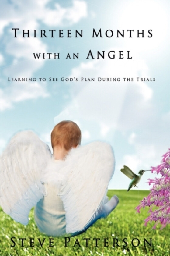 Thirteen Months with an Angel av Steve Patterson (Paperback)
